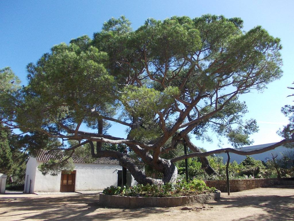 Garibaldi’s house on Caprera